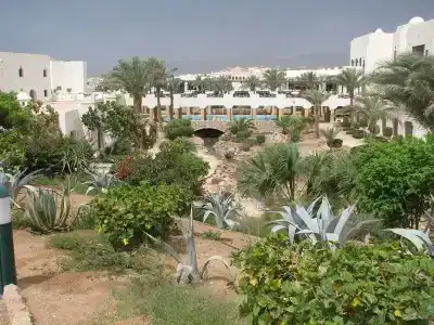 Red Sea Sharm Resort (ex. Crowne Plaza Resort) - 4