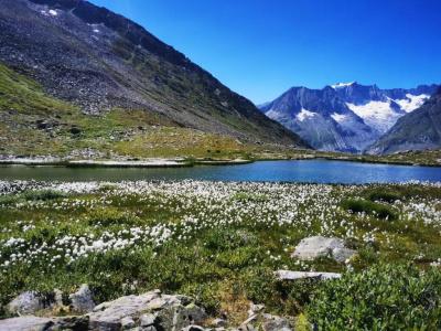 BergDerby - 8