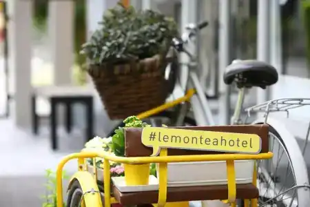 Lemontea Bangkok - Sha Extra Plus - 28