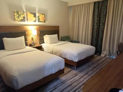 Hilton Garden Inn Erzincan - 50