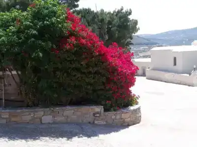 Krotiri Bay - 85