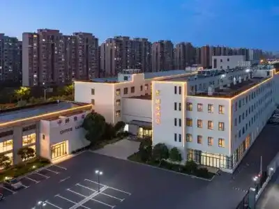 Linzhen - 8
