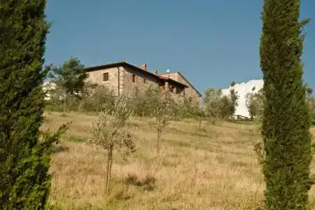 Agriturismo Podere Campaini - 82