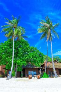 Koh Tao Beach Club - 137