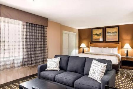 Quality Inn & Suites - 49
