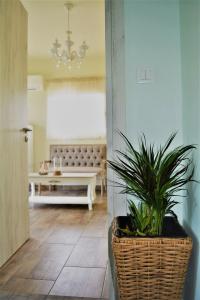Anelia Boutique Studios & - 10