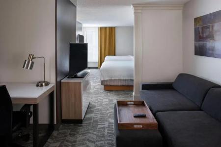 SpringHill Suites by Marriott Convention Center - 51