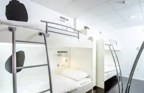 Design Hostel 101 Dalmatinac - 40