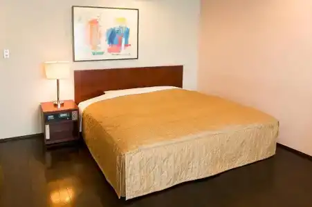 The Residential Suites Fukuoka - 47