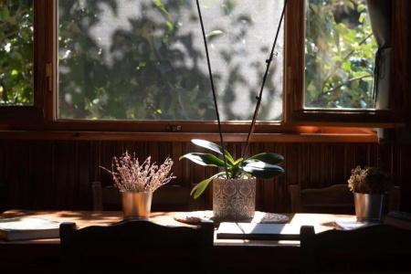 Orias Guesthouse & Farm - 4