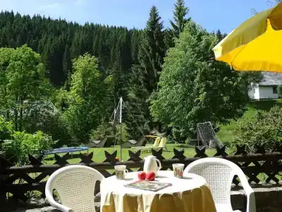 Schwarzwald ApartKräutle - 36