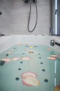 Best Western Plus Carlton Annecy - 36