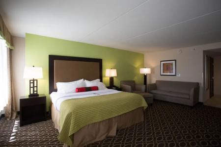 Holiday Inn Murfreesboro/Nashville, An Ihg - 76
