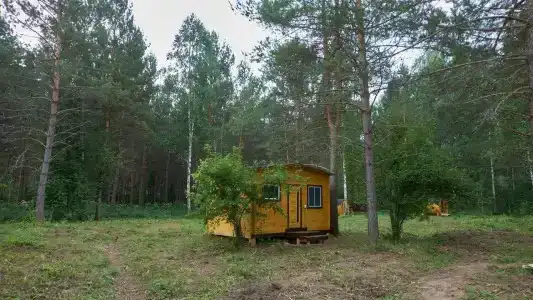 Таёжник - 20