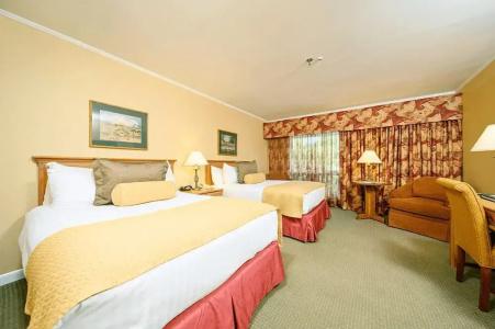 Stoweflake Mountain & Spa - 9