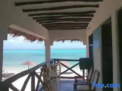 Nest Style Beach Zanzibar - 98