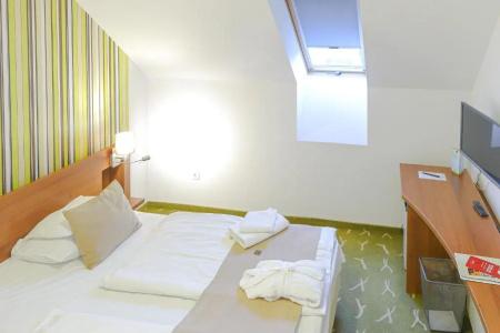 Zenit Wellness Balaton - 37