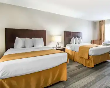 Quality Inn & Suites By the Parks - 4
