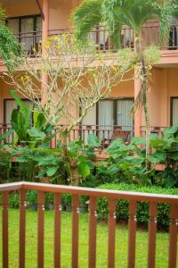 Lanta Casuarina Beach Resort - Sha Plus - 43
