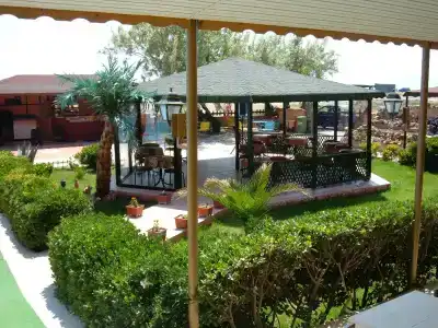 Palmera - 21