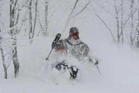 La Neige Honkan - 25