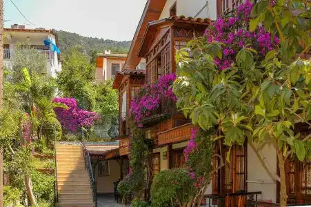 Villa Daffodil - 54