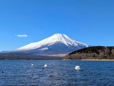 Hiiragi - 17