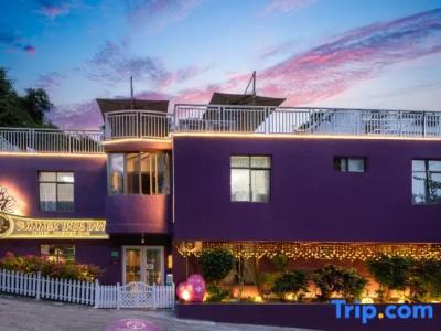 Summer Tree Inn (The Captain's Hostel) - 19