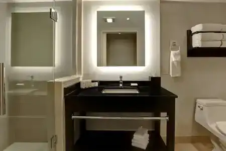 Embassy Suites by Hilton/ Fallsview - 51