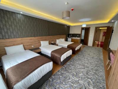 Van Diana Otel - 54