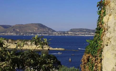 Pharus miseni B&B - 14