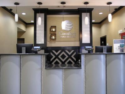 Comfort Inn & Suites Dallas Medical-Market Center - 1