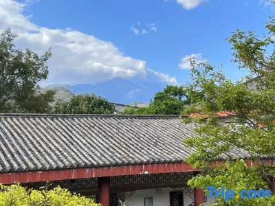 Conifer Lishui Sunlight - 51