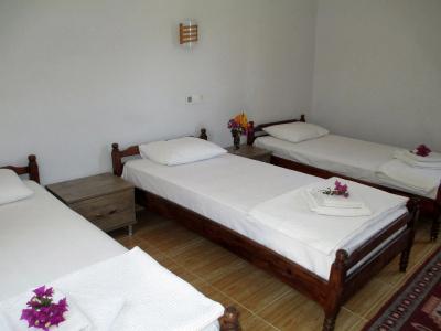 Eucalyptus Pension - 6