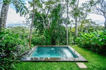 The Hidden Paradise Ubud - 4