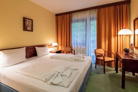 Lövér Sopron - 36
