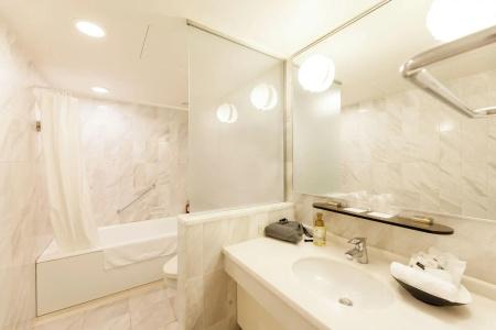Kanazawa New Grand Premier - 9