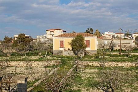 Aegina - 130