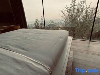 Tigerlily - 60