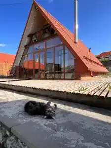 Старый Сивух - 0