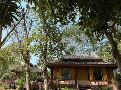Baan Krating - Sha Plus - 52