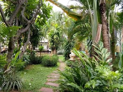 Golden Pine Beach Resort - 23
