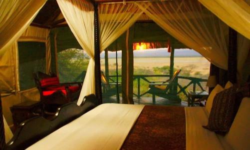 Manyara Wildlife Safari Camp - 0