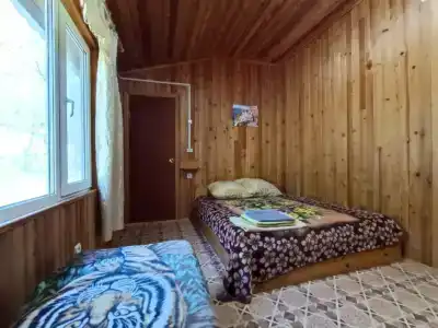 Камень Льва - 3