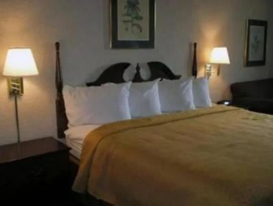 Quality Inn & Suites Downtown - 66