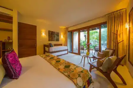 La Zebra a Colibri Boutique - 3