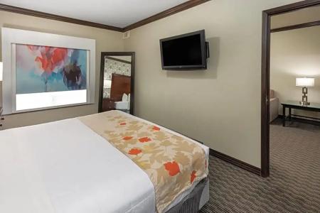 Hawthorn Suites by Wyndham - 58