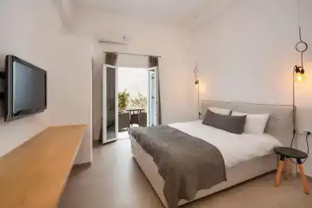 Eucalyptus - 36