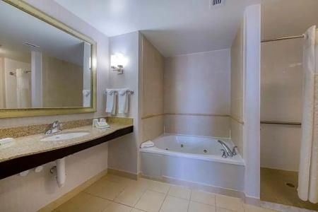 Hilton Garden Inn Southpoint - 85