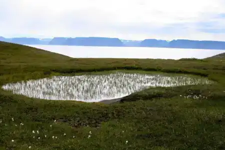 Isafjordur - Horn - 10